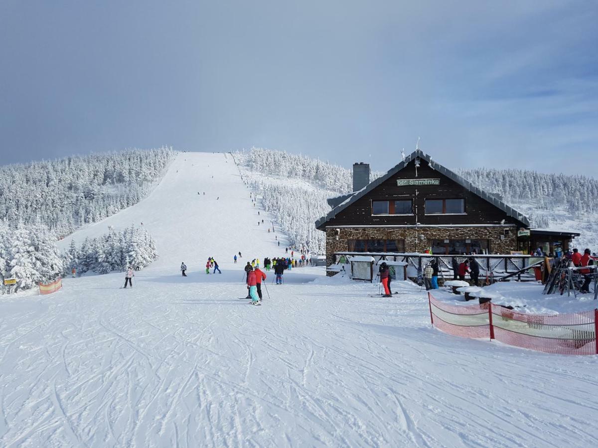 Apartmán Depandance MARNET Sněžník Dolní Morava Exteriér fotografie